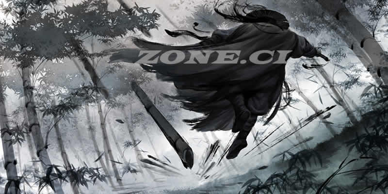 ZONE.CI 全球网